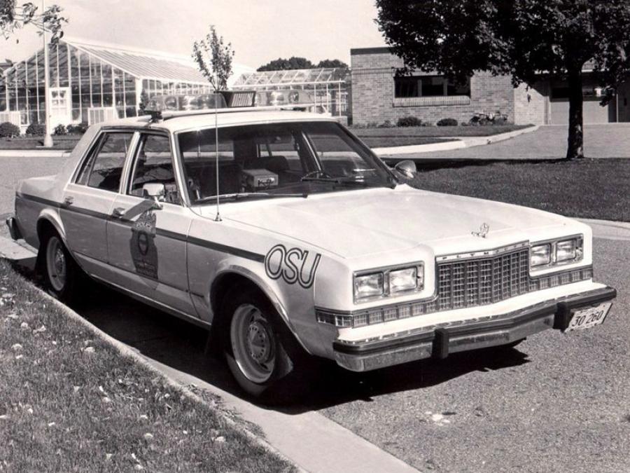  Plymouth Gran Fury Pursuit 1982 года  (фото 3 из 3)